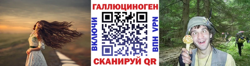 где можно купить наркотик  Зарайск  Галлюциногенные грибы MAGIC MUSHROOMS 